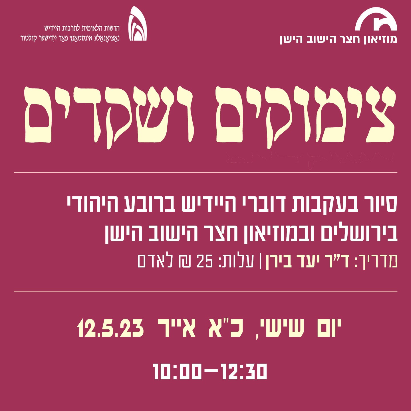 siur yerushalayim