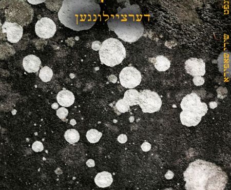 19.2.2026, зум: презентация книги Шири Шапира на идиш